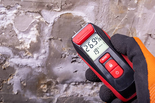 Best Certified Mold Removal  in Glenns Ferry, ID