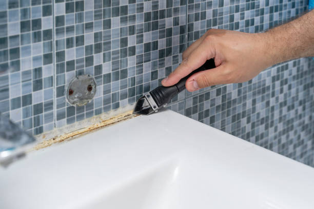 Best Mold Remediation Services  in Glenns Ferry, ID